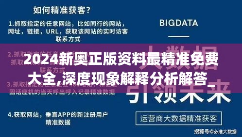 2024新奥正版资料最精准免费大全,深度现象解释分析解答_NBE5.58.85测试版