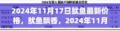 鱿鱼飘香，揭秘深海传奇，探寻最新市场报价