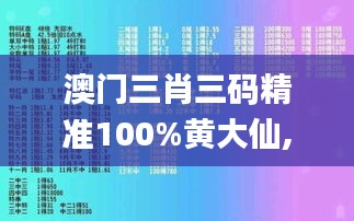 澳门三肖三码精准100%黄大仙,未来解答解释定义_XVQ2.20.85黑科技版