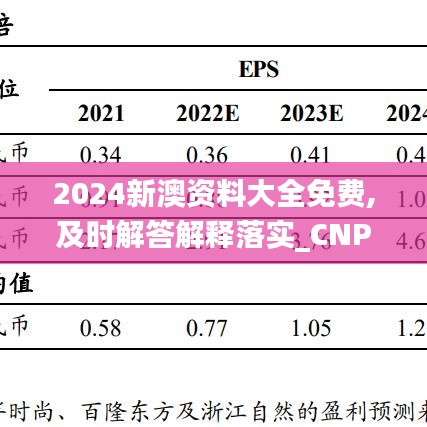 2024新澳资料大全免费,及时解答解释落实_CNP2.33.98极致版