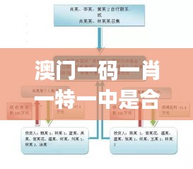 澳门一码一肖一特一中是合法的吗,精确现象评估解释解答_YBM1.50.93图形版