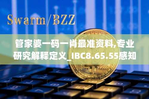 管家婆一码一肖最准资料,专业研究解释定义_IBC8.65.55感知版