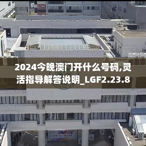 2024今晚澳门开什么号码,灵活指导解答说明_LGF2.23.88魔力版