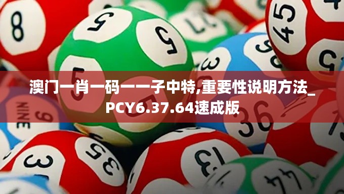 澳门一肖一码一一子中特,重要性说明方法_PCY6.37.64速成版