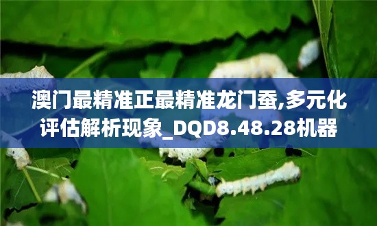 澳门最精准正最精准龙门蚕,多元化评估解析现象_DQD8.48.28机器版