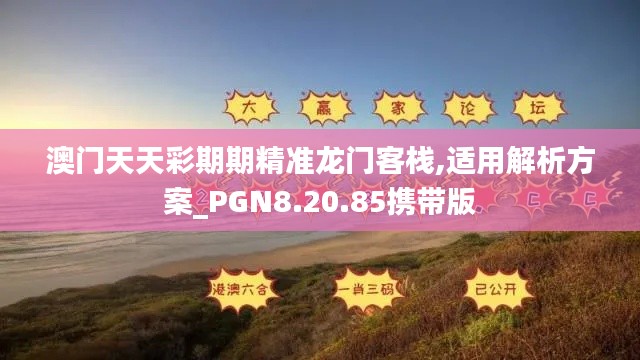 澳门天天彩期期精准龙门客栈,适用解析方案_PGN8.20.85携带版