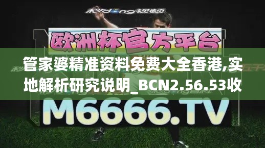 管家婆精准资料免费大全香港,实地解析研究说明_BCN2.56.53收藏版