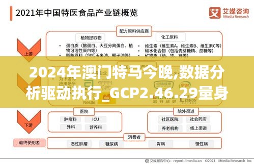 2024年澳门特马今晚,数据分析驱动执行_GCP2.46.29量身定制版