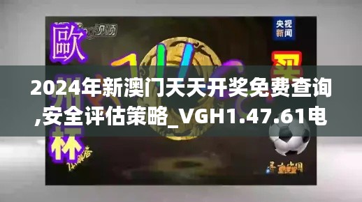 2024年新澳门天天开奖免费查询,安全评估策略_VGH1.47.61电商版