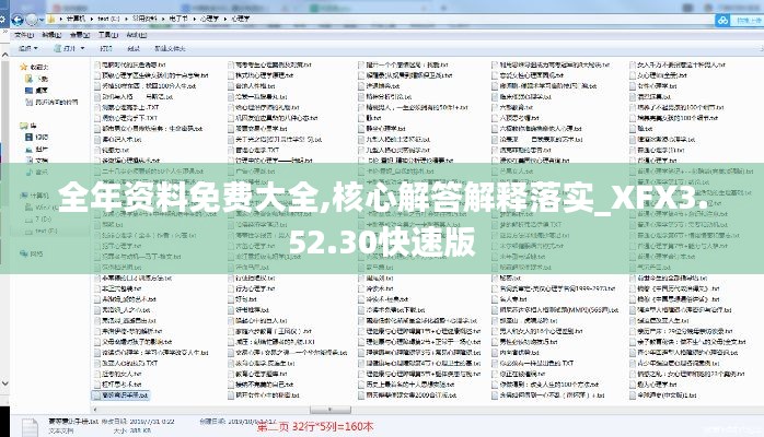全年资料免费大全,核心解答解释落实_XFX3.52.30快速版