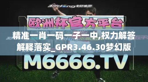 精准一肖一码一子一中,权力解答解释落实_GPR3.46.30梦幻版