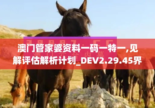 澳门管家婆资料一码一特一,见解评估解析计划_DEV2.29.45界面版