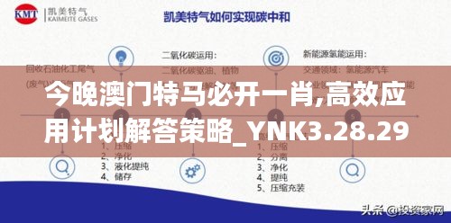 今晚澳门特马必开一肖,高效应用计划解答策略_YNK3.28.29携带版