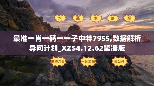 最准一肖一码一一子中特7955,数据解析导向计划_XZS4.12.62紧凑版