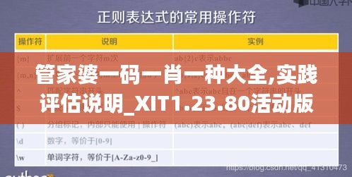 管家婆一码一肖一种大全,实践评估说明_XIT1.23.80活动版