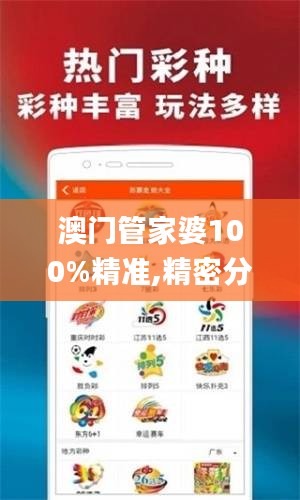 澳门管家婆100%精准,精密分析解答解释现象_WMS8.46.79神念境