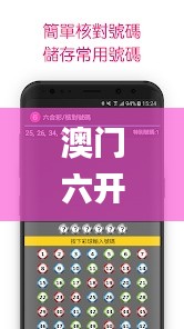 澳门六开奖结果2024开奖今晚,可靠性操作方案_ACF9.25.48专业版