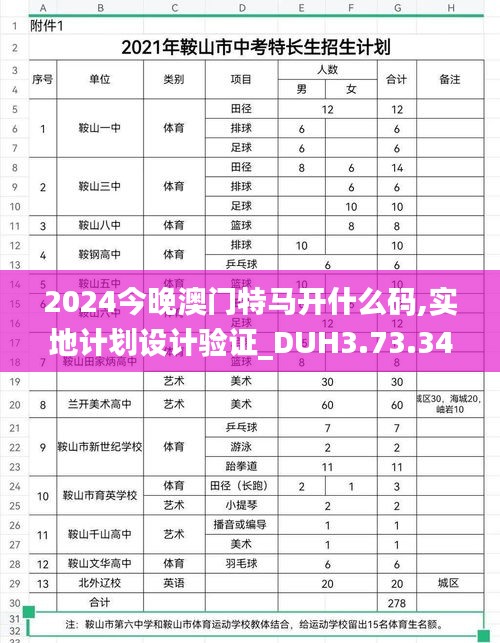 2024今晚澳门特马开什么码,实地计划设计验证_DUH3.73.34触感版