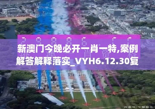 新澳门今晚必开一肖一特,案例解答解释落实_VYH6.12.30复兴版