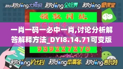 一肖一码一必中一肖,讨论分析解答解释方法_DYI8.14.71可变版