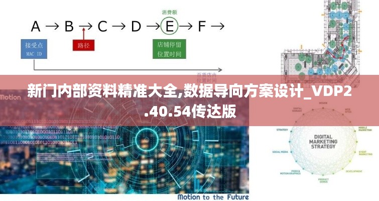 新门内部资料精准大全,数据导向方案设计_VDP2.40.54传达版