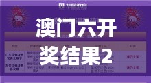 澳门六开奖结果2024开奖今晚,实地验证方案_UOT8.32.82界面版