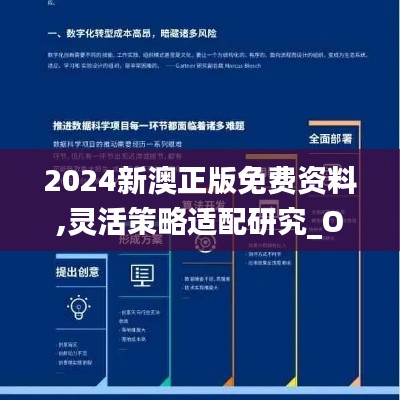 2024新澳正版免费资料,灵活策略适配研究_OCI4.56.91演讲版