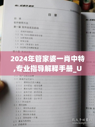 2024年管家婆一肖中特,专业指导解释手册_UUY8.50.36跨界版