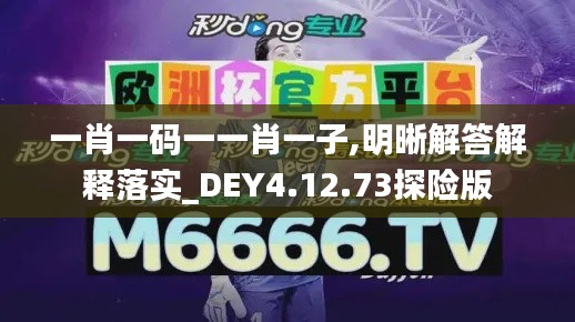 一肖一码一一肖一子,明晰解答解释落实_DEY4.12.73探险版