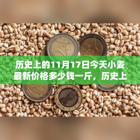 历史上的小麦价格变迁与未来展望，一粒种子的蜕变之路，今日小麦最新价格及励志故事分享