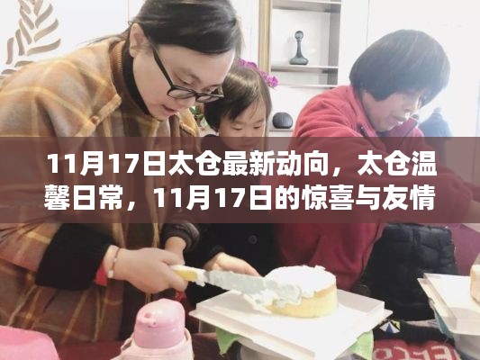 太仓温馨日常，惊喜与友情的小悸动——太仓最新动向 11月17日更新