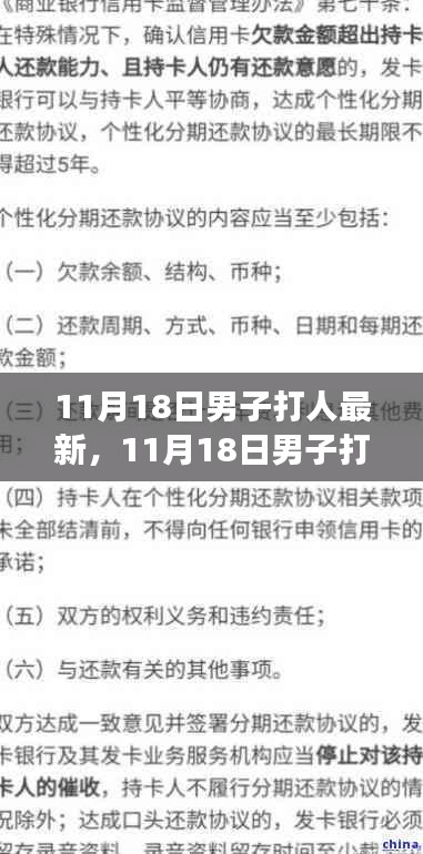 11月18日男子打人事件处理指南，从初学者到进阶用户的步骤解析