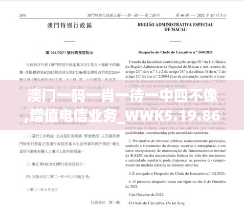 澳门一码一肖一待一中四不像,增值电信业务_WWK5.19.86物联网版