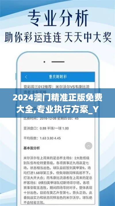 2024澳门精准正版免费大全,专业执行方案_YOB5.65.41初学版