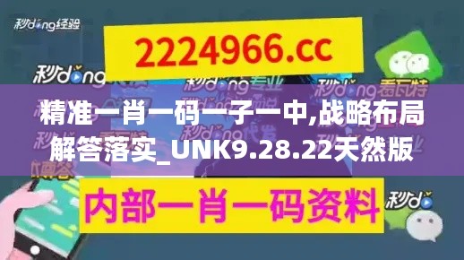 精准一肖一码一子一中,战略布局解答落实_UNK9.28.22天然版