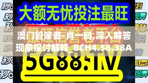 澳门管家婆-肖一码,深入解答现象探讨解释_BCH4.58.38Allergo版(意为轻快)