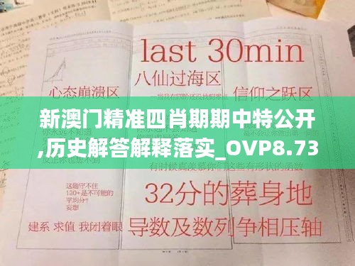 新澳门精准四肖期期中特公开,历史解答解释落实_OVP8.73.83性能版