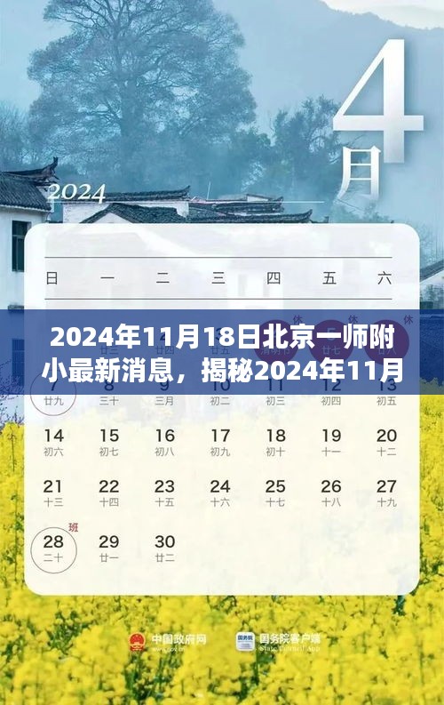 揭秘北京一师附小最新动态，2024年11月18日最新消息速递