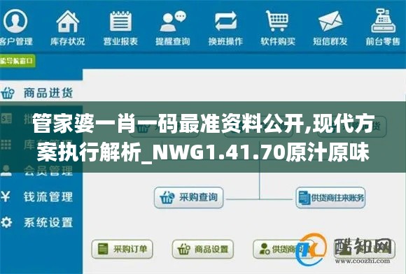 管家婆一肖一码最准资料公开,现代方案执行解析_NWG1.41.70原汁原味版