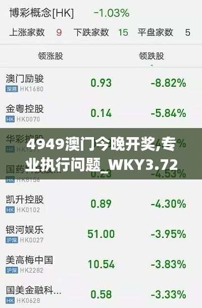 4949澳门今晚开奖,专业执行问题_WKY3.72.76随意版