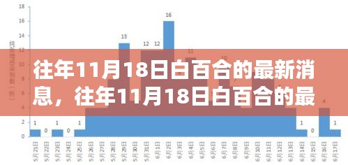 历年11月18日白百合最新消息，全面评测与深度介绍