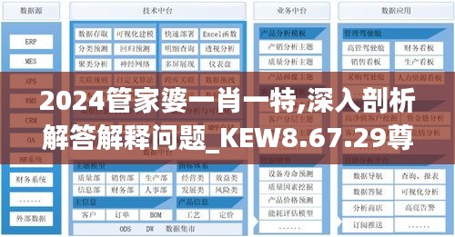 2024管家婆一肖一特,深入剖析解答解释问题_KEW8.67.29尊享版