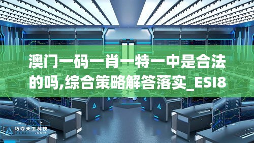 澳门一码一肖一特一中是合法的吗,综合策略解答落实_ESI8.80.45怀旧版