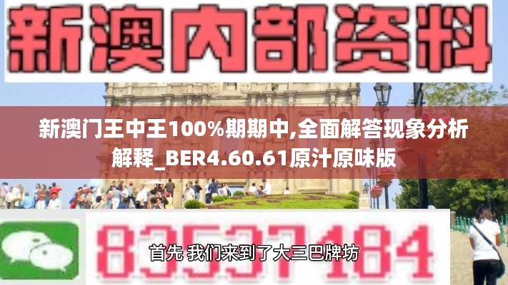 新澳门王中王100%期期中,全面解答现象分析解释_BER4.60.61原汁原味版