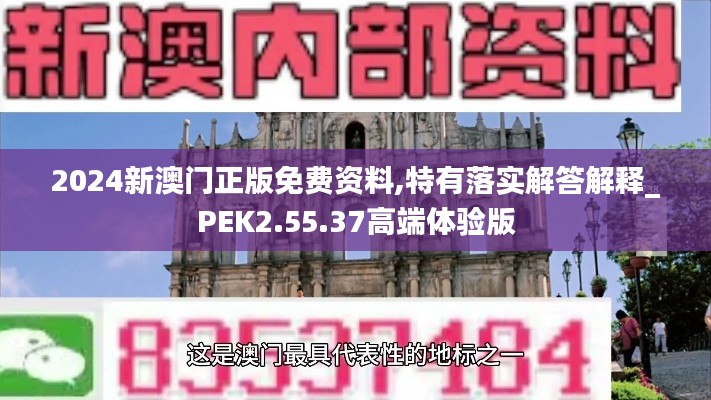 2024新澳门正版免费资料,特有落实解答解释_PEK2.55.37高端体验版