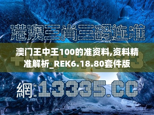 澳门王中王100的准资料,资料精准解析_REK6.18.80套件版