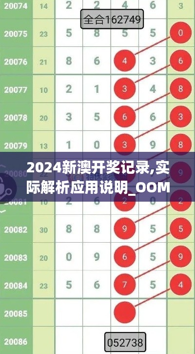 2024新澳开奖记录,实际解析应用说明_OOM4.74.69豪华款