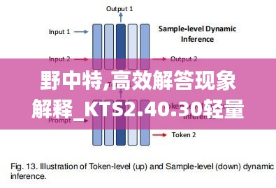 野中特,高效解答现象解释_KTS2.40.30轻量版