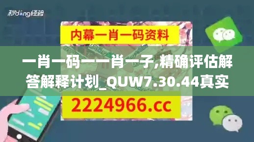 一肖一码一一肖一子,精确评估解答解释计划_QUW7.30.44真实版