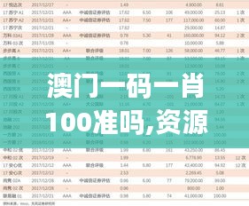 澳门一码一肖100准吗,资源实施计划_XXB9.20.26优先版